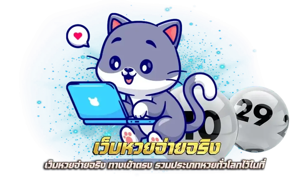 เว็บ cat888 สมัคร สมาชิก